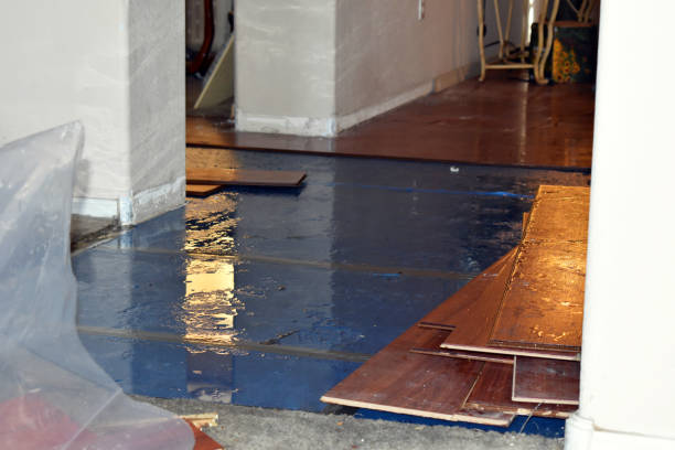 Professional Water Damage Restoration technician working in Eau Galle, WI